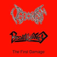 Vedonist : The First Damage